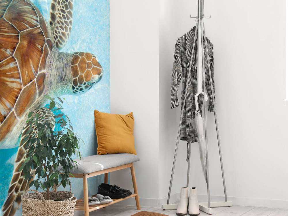 Schildpad in het water