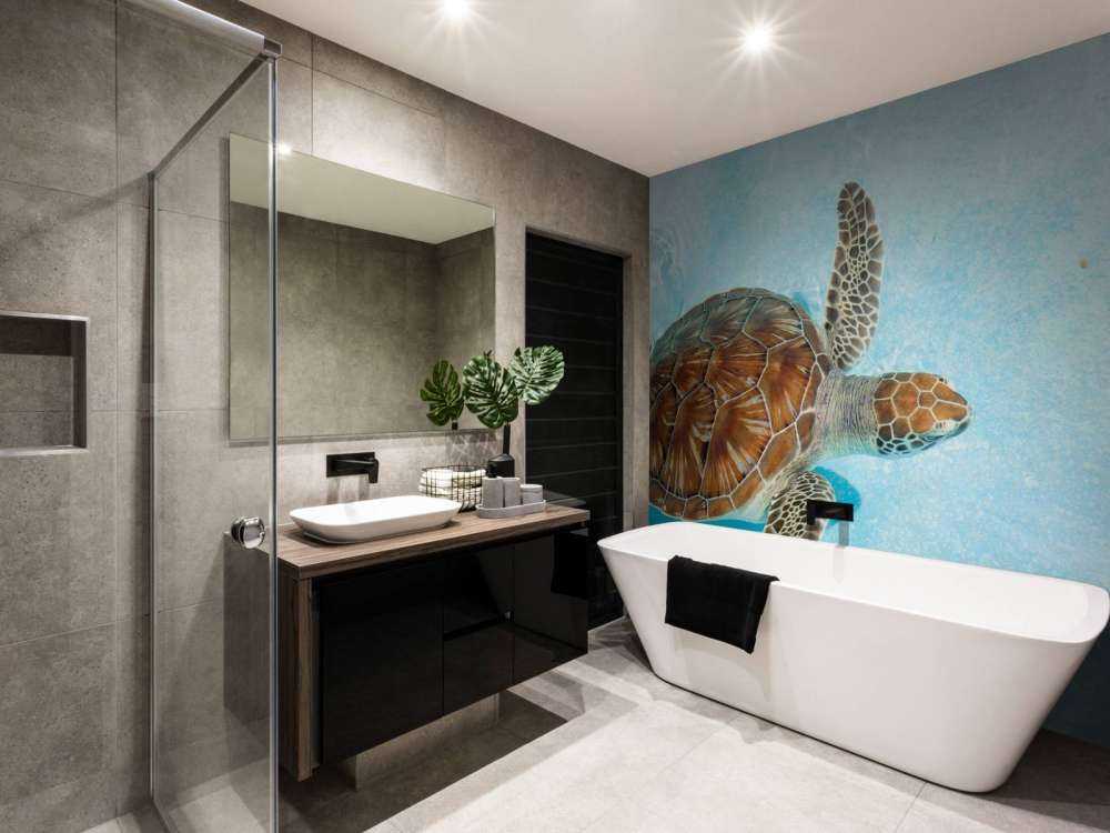 Schildpad in het water