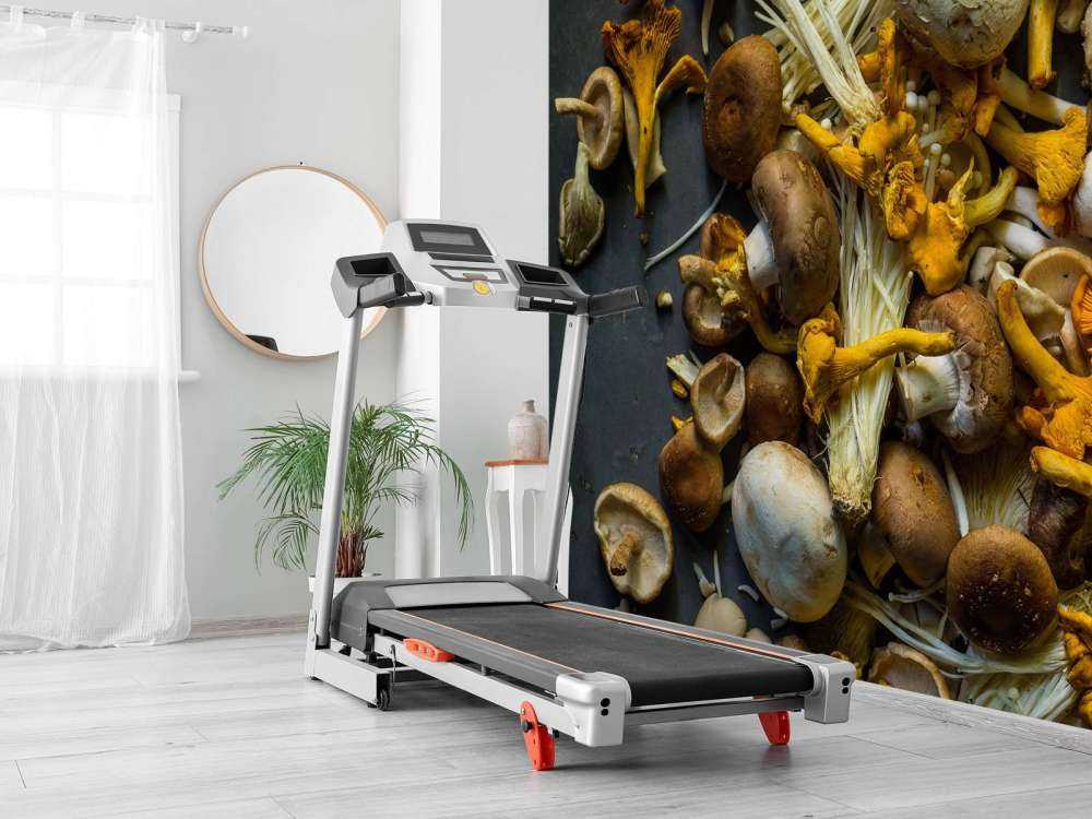 Verschillende paddestoelen