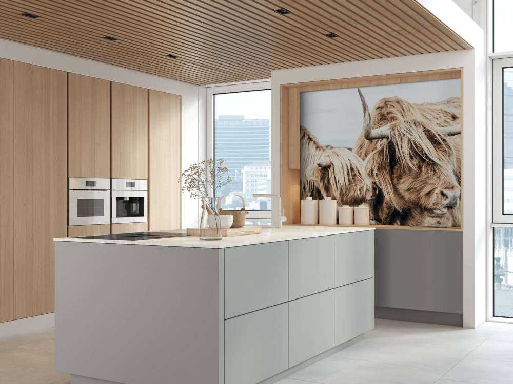 Twee Schotse hooglanders