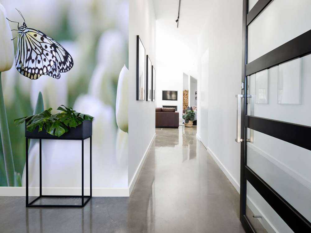 Vlinder op een witte tulp