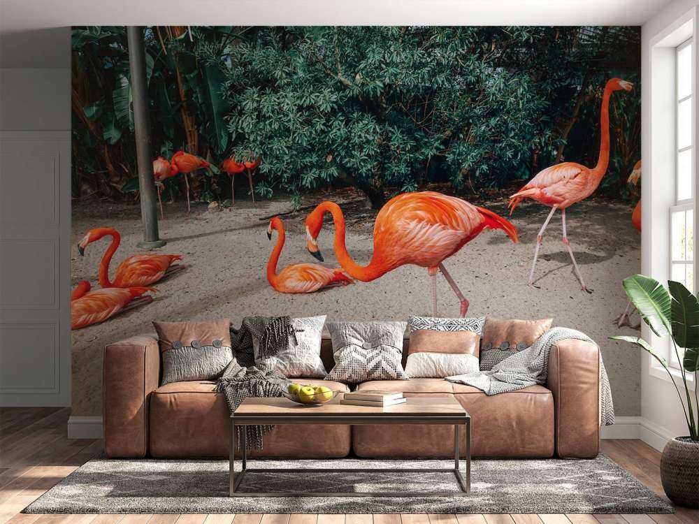 Flamingo's op een Caribisch eiland