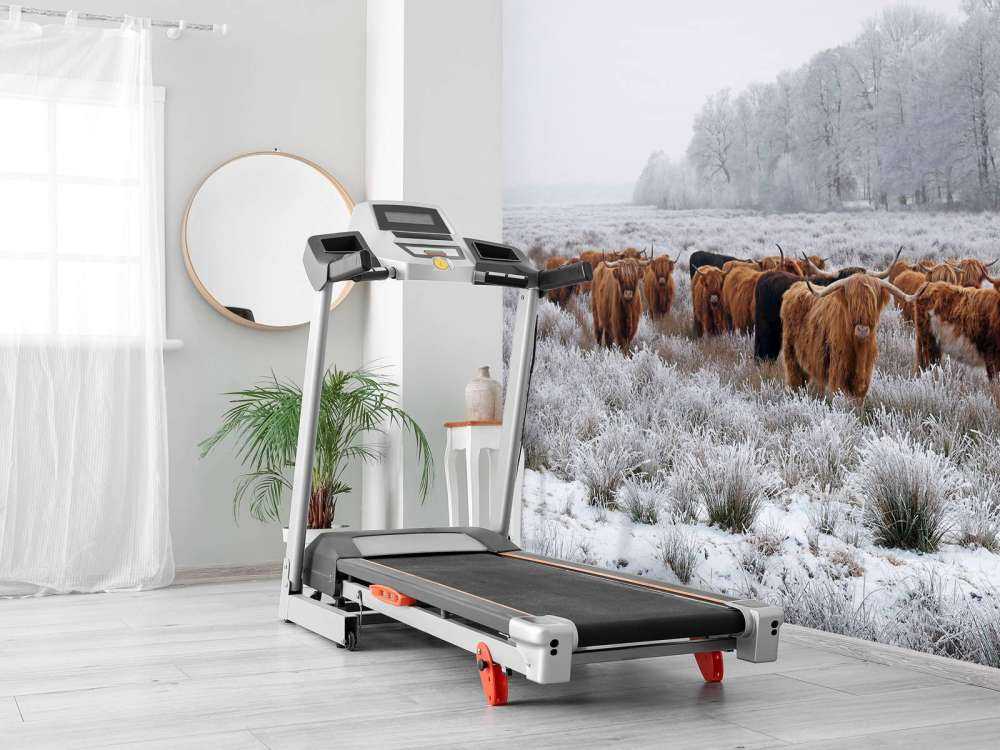 Schotse Hooglanders in een winterlandschap