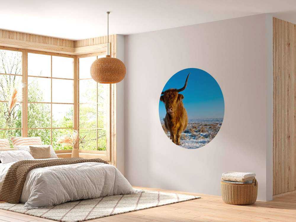 Schotse Hooglander met een blauwe lucht