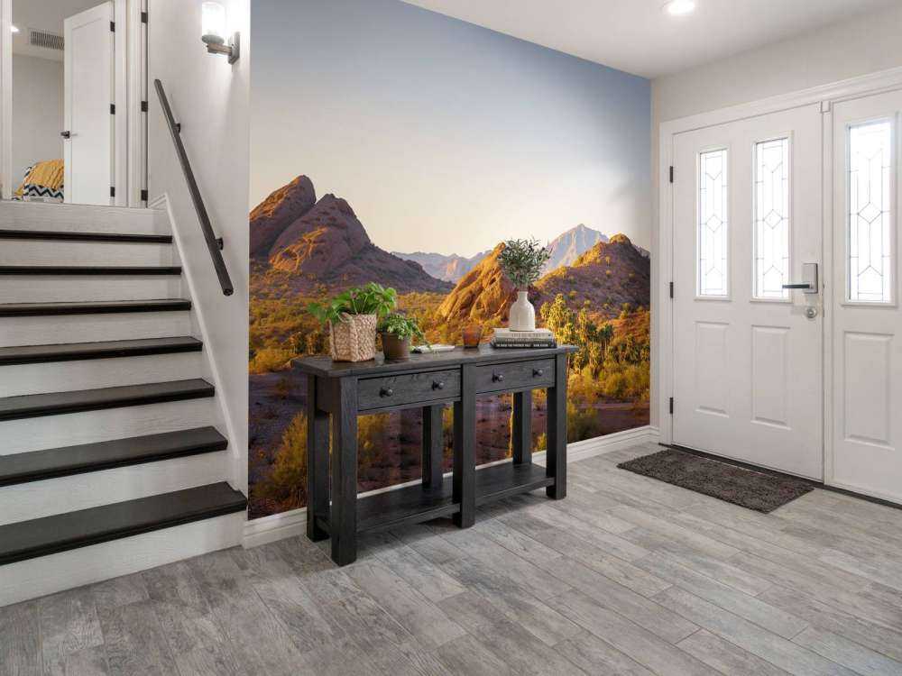 Woestijnlandschap met cactussen