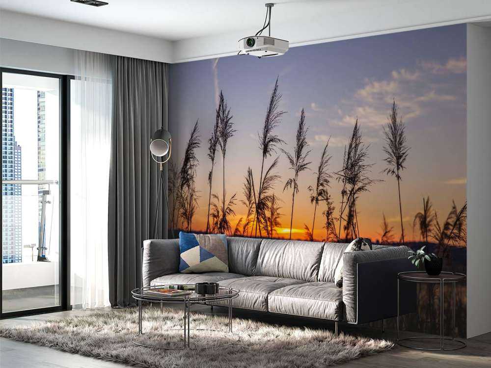 Rivier met riet bij zonsondergang