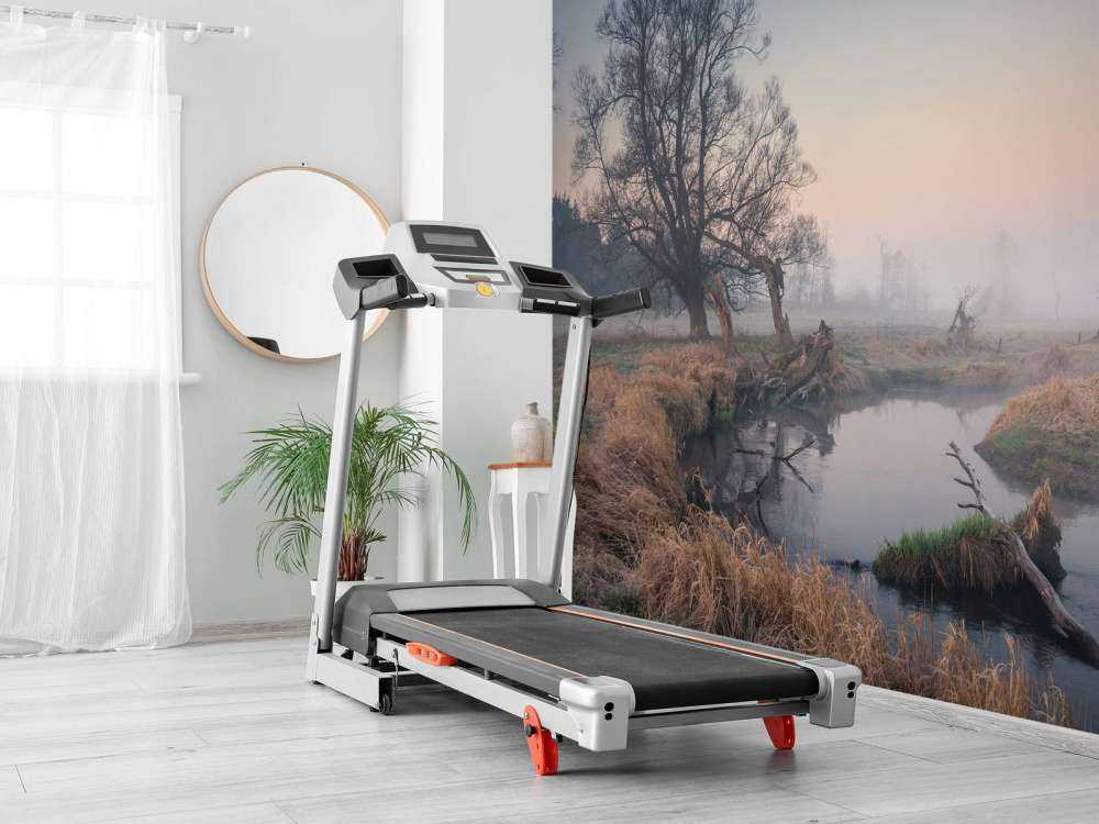 Natuurgebied in de vroege ochtend