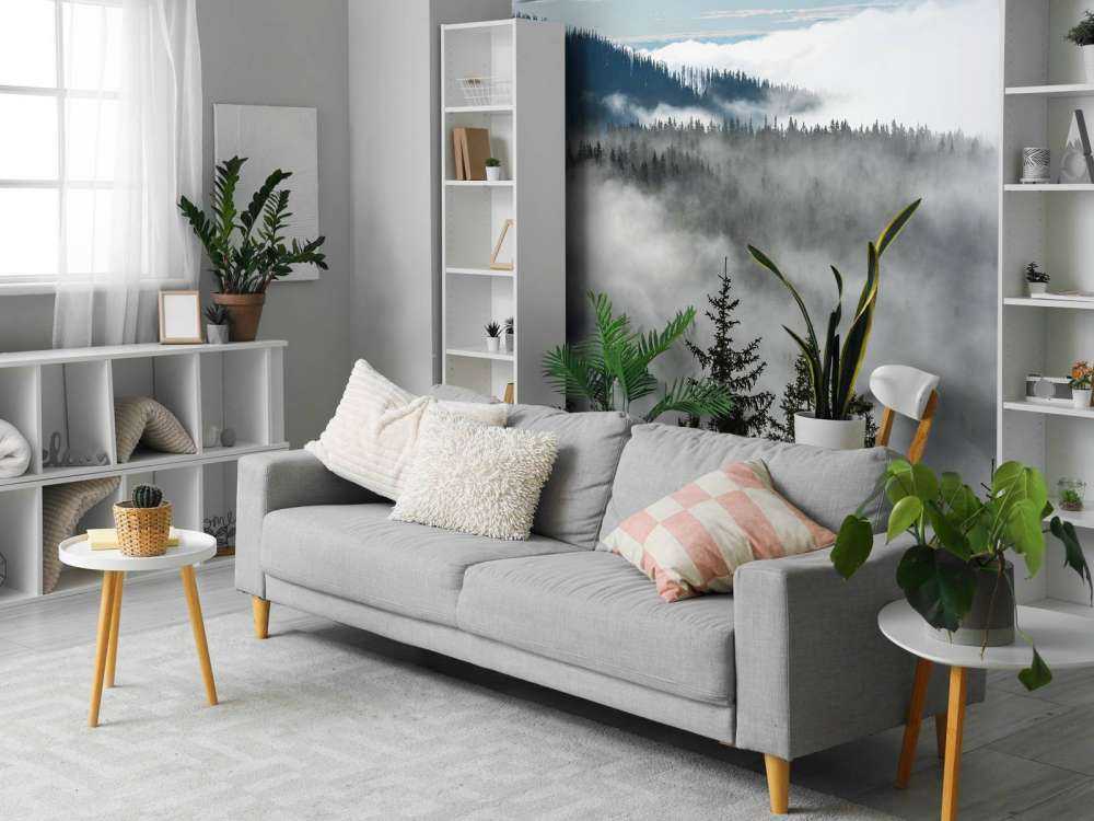 Mistig bos in de bergen