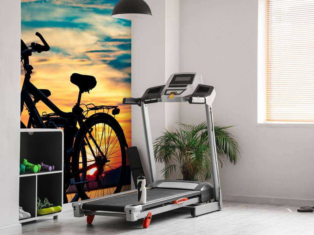 Fietsen bij zonsondergang