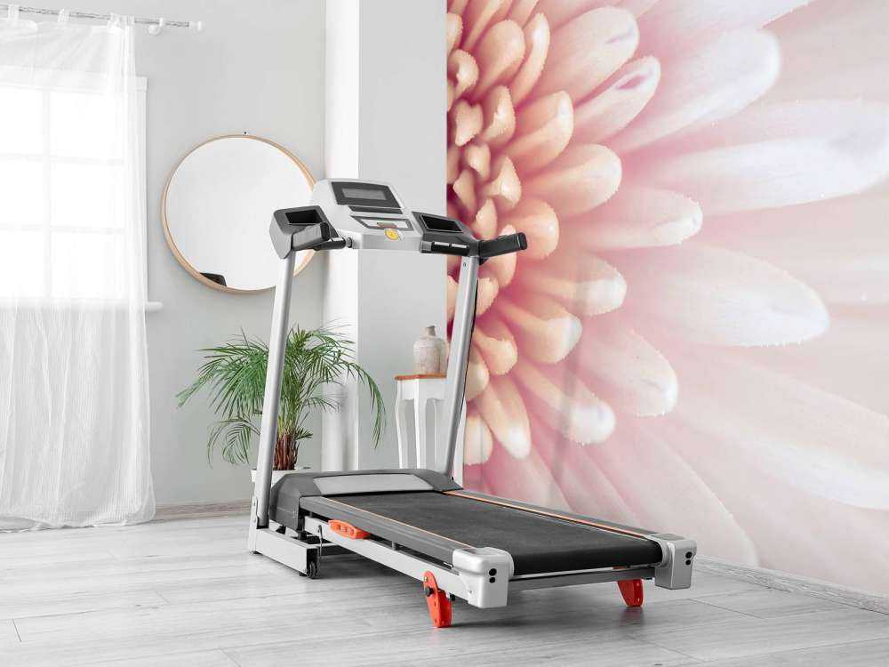 Chrysanthemum petals