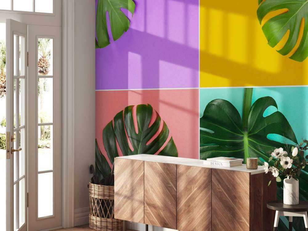 Plant met verschillende kleuren