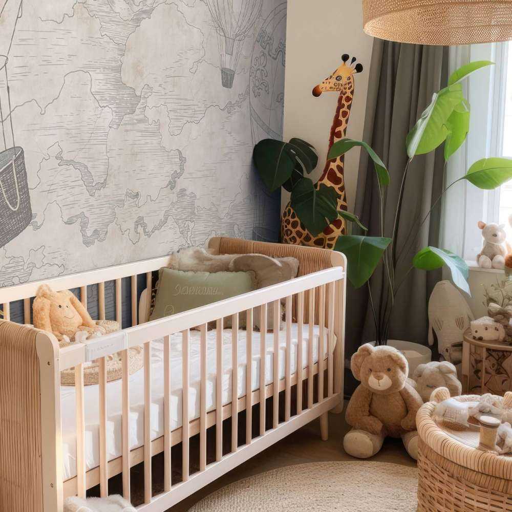 Luchtballonnen met een uitzicht