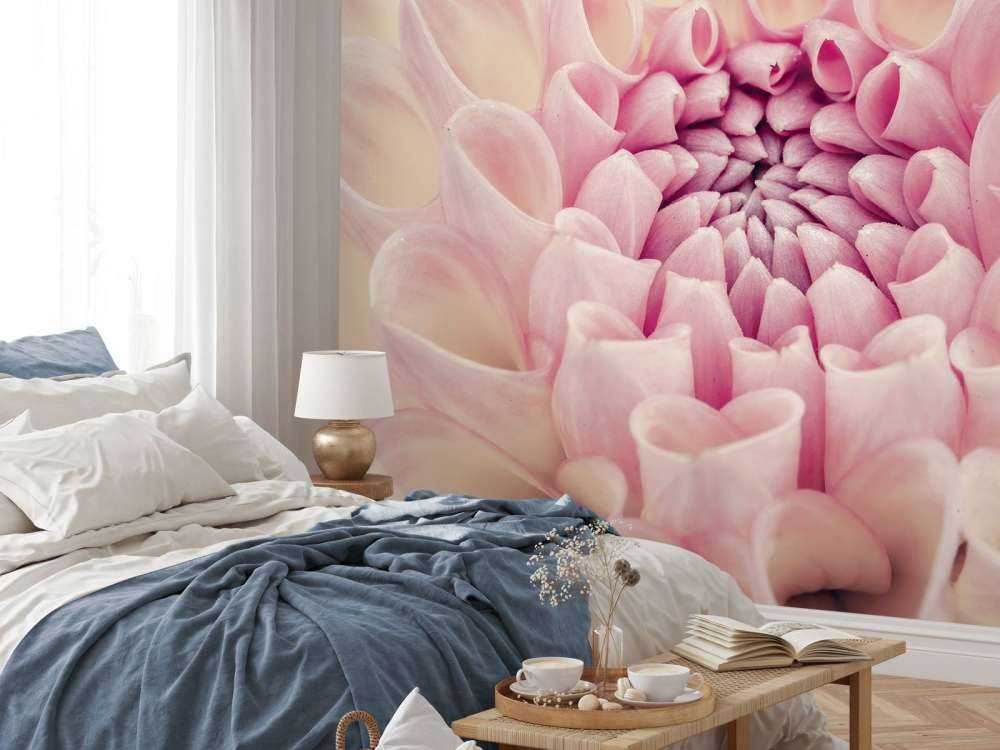 Dahlia close-up foto