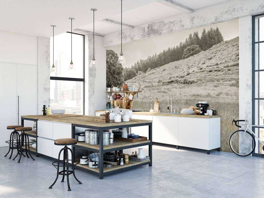 Schotse hooglander met kalf