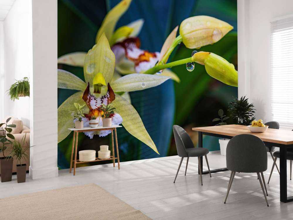 Wilde, gele orchidee