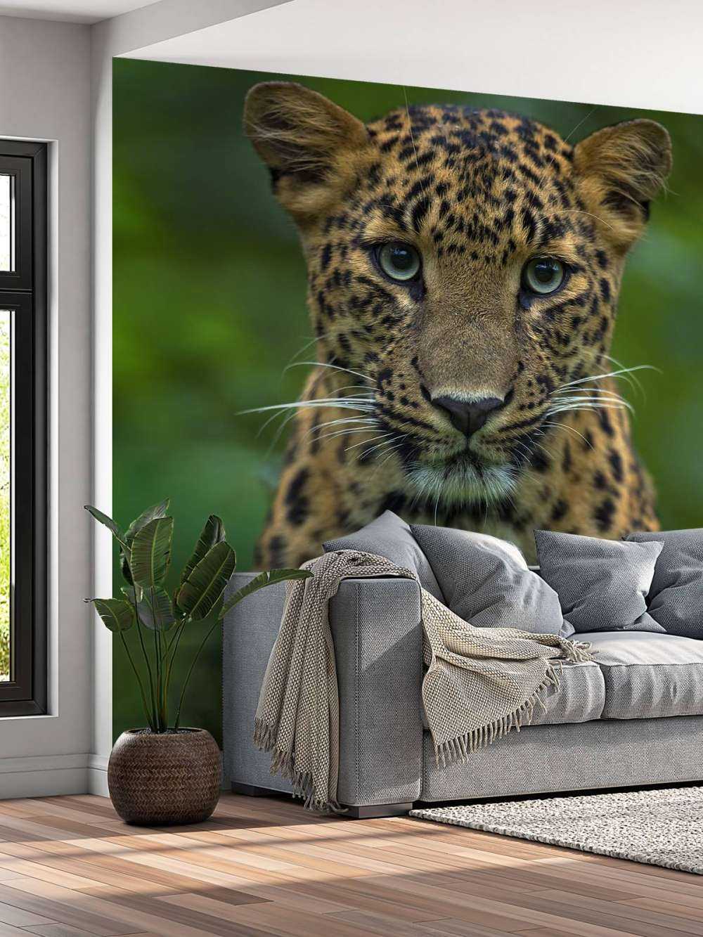 Geconcentreerde luipaard