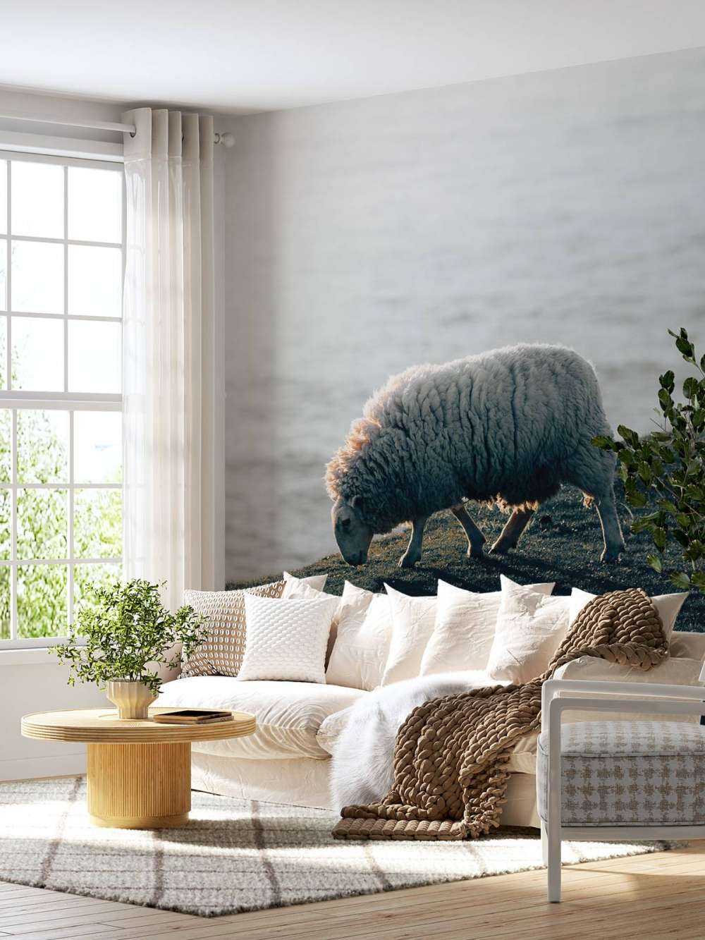 Grazend schaap
