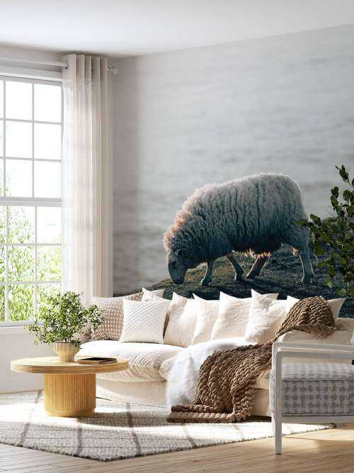Grazend schaap