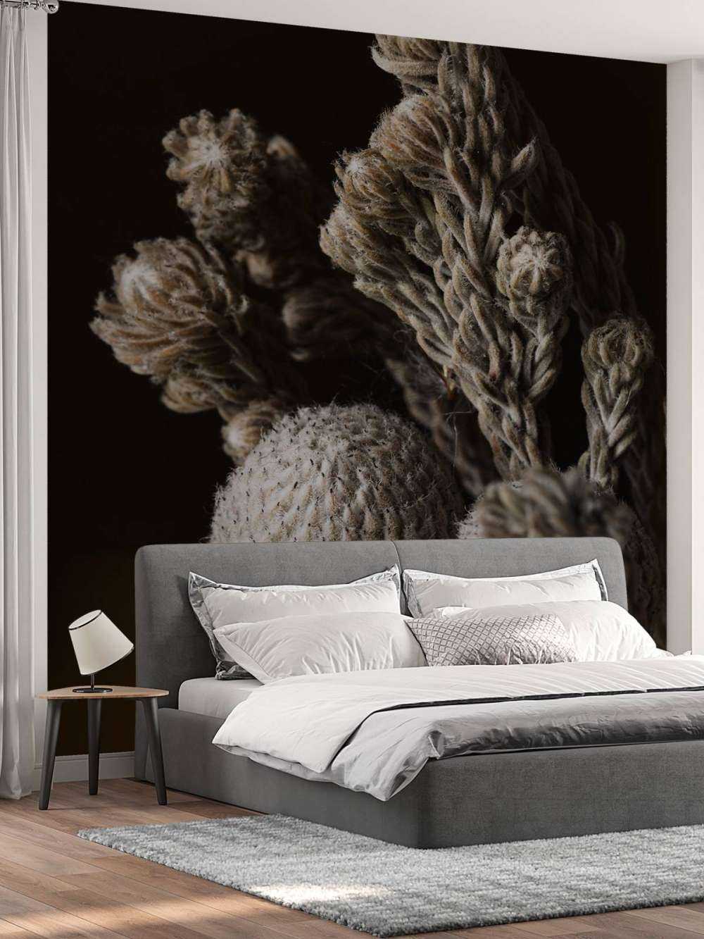 Close-up planten op zwart achtergrond