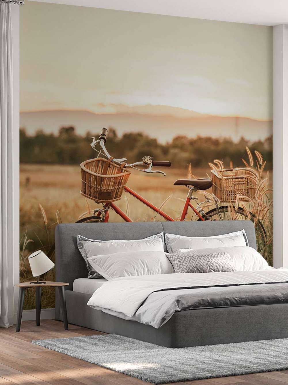 Oude fiets in de zomer