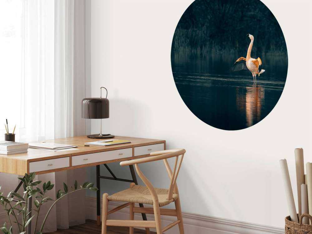 Flamingo in verlaten meer