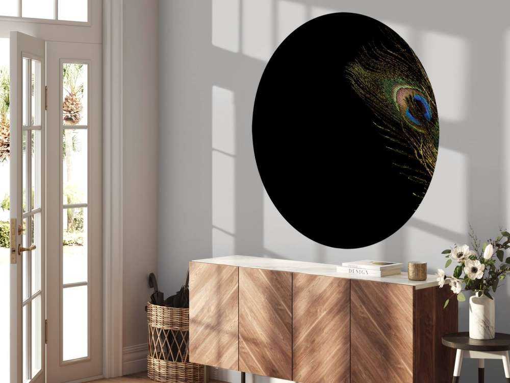 Kleurrijke pauwenveer