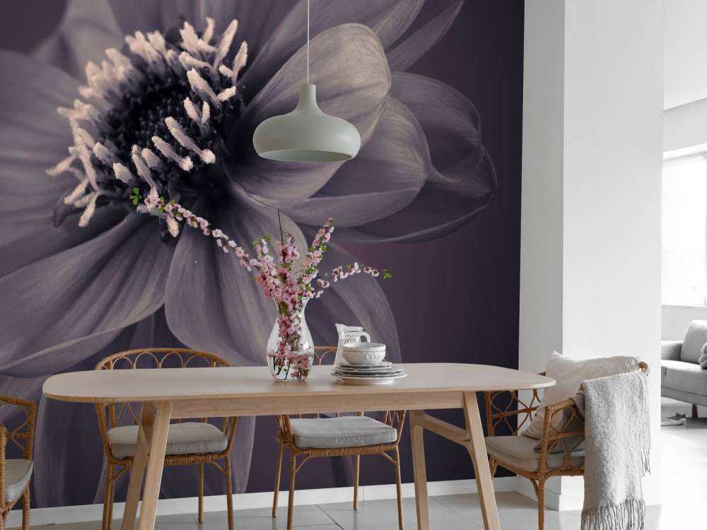 Donkere dahlia bloem