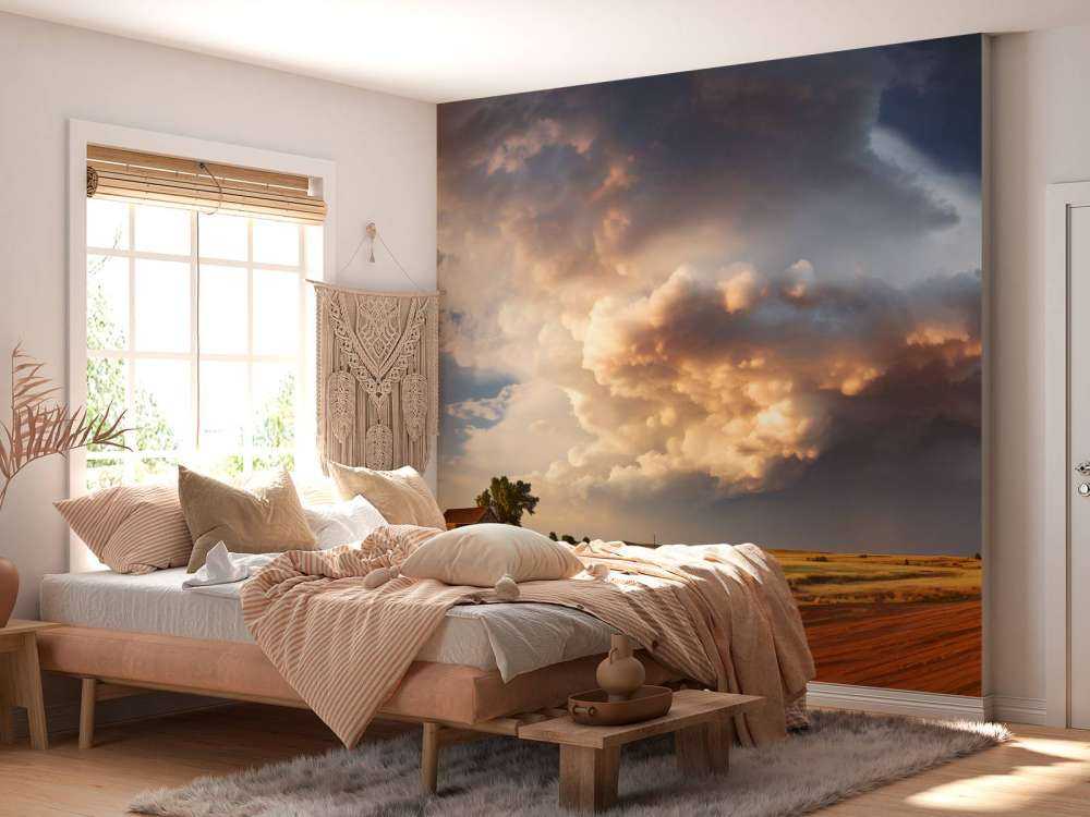 Storm over the Meadow