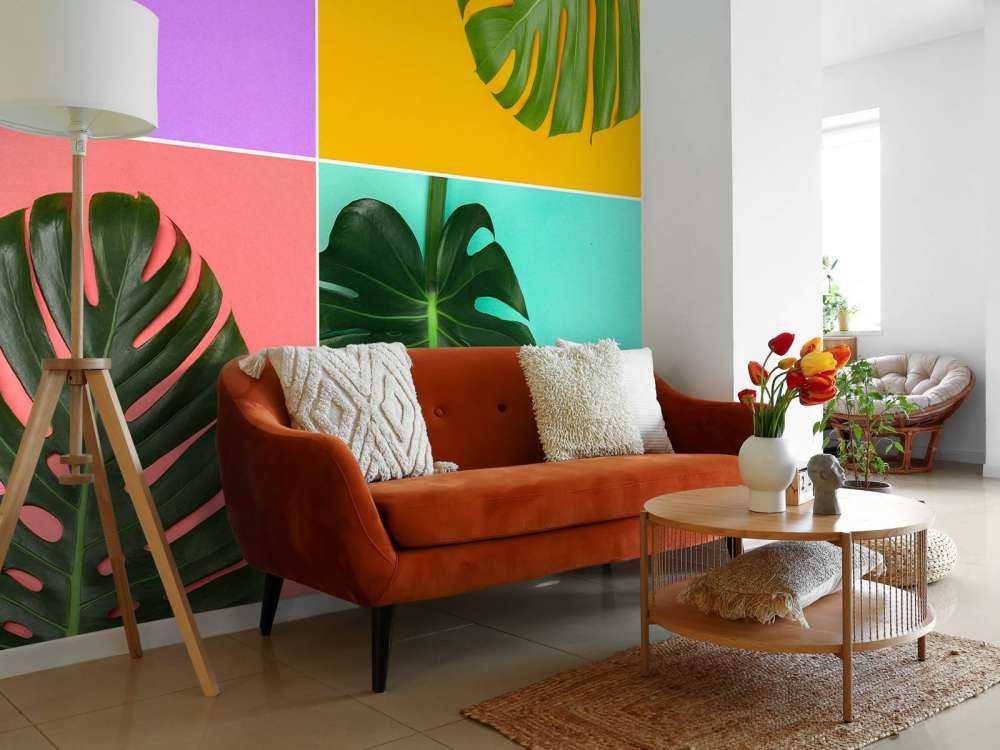 Plant met verschillende kleuren