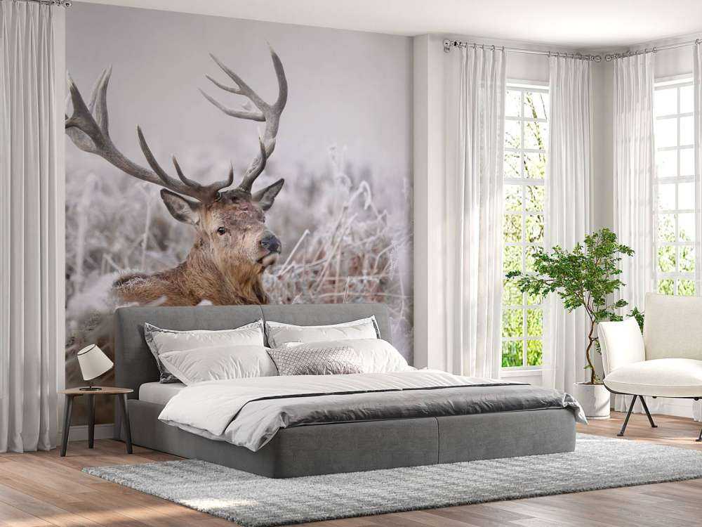 Edelhert's Winterdroom