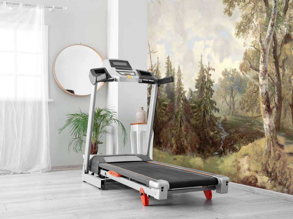 Forest Landscape Color #1