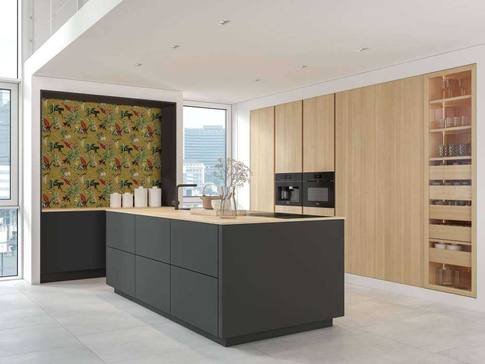 Kingdom Animalia Gold Ochre