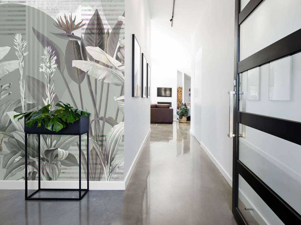 Dreams and Tropics 2