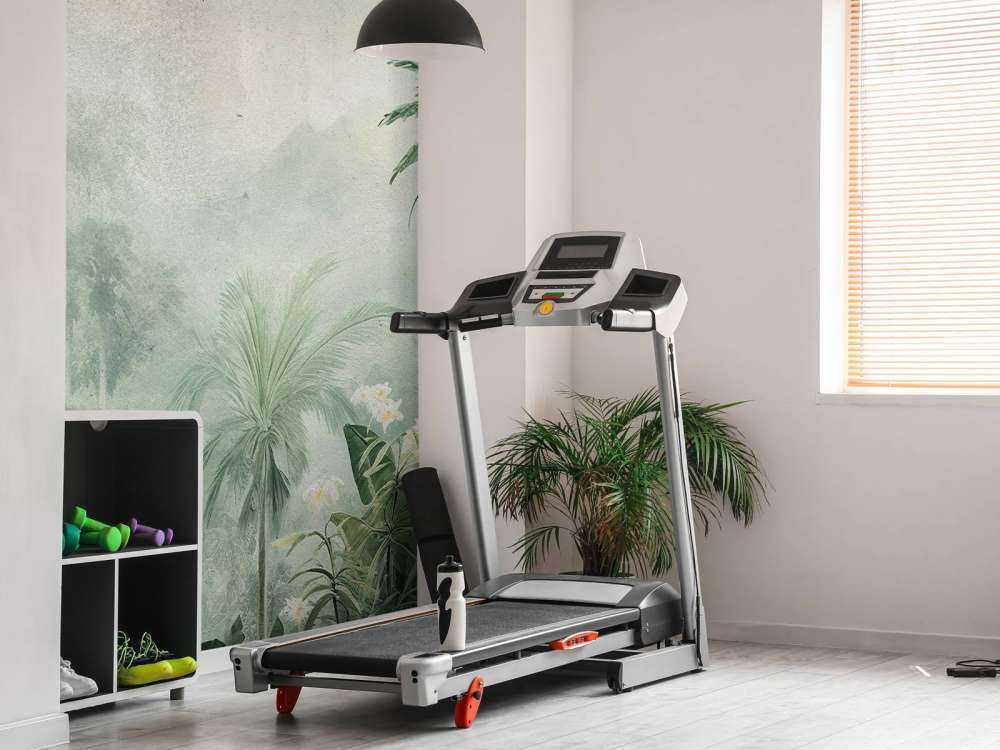 Nevelig Tropen Mysterie