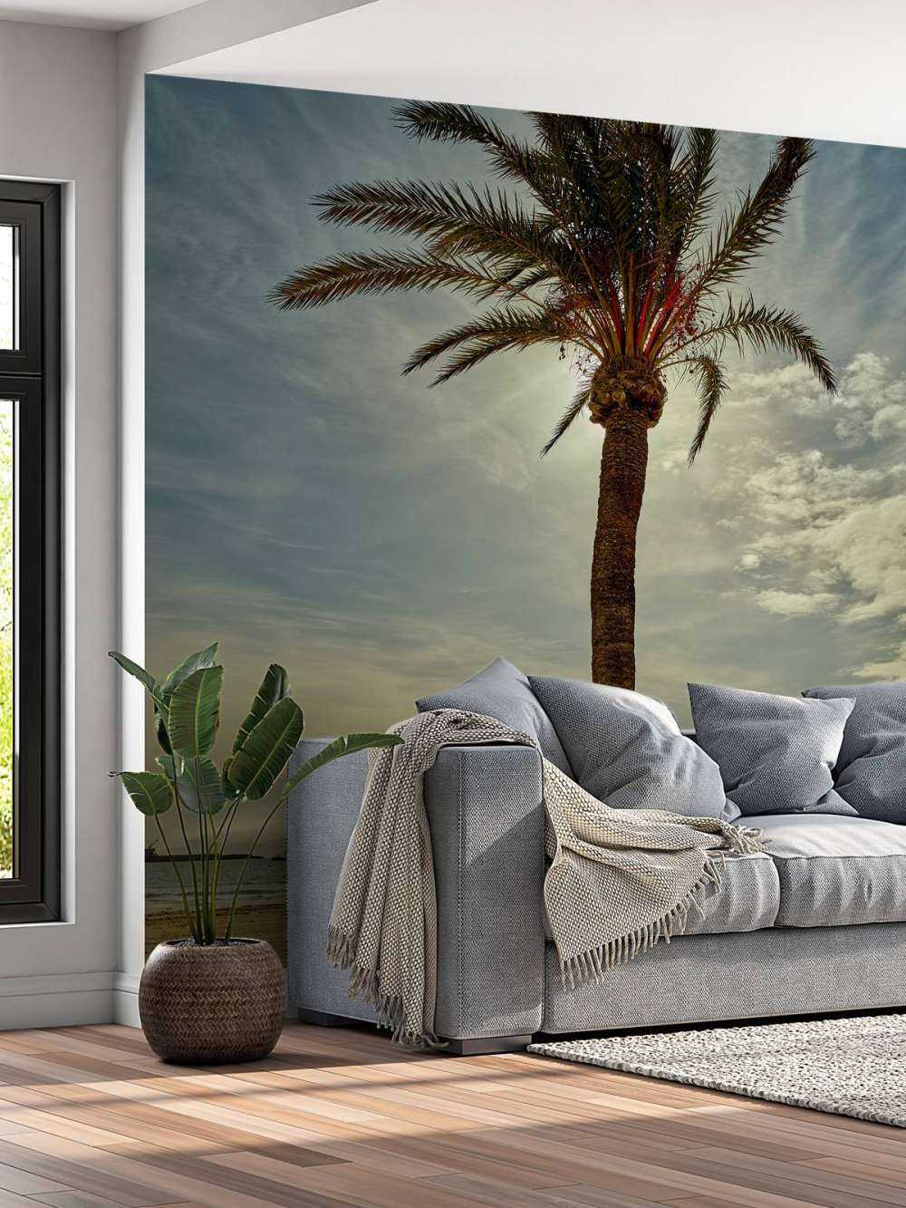 Palmboom in de zon