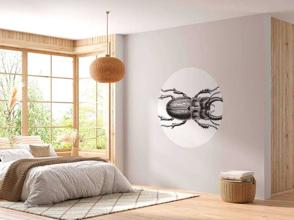Stag beetle drawing