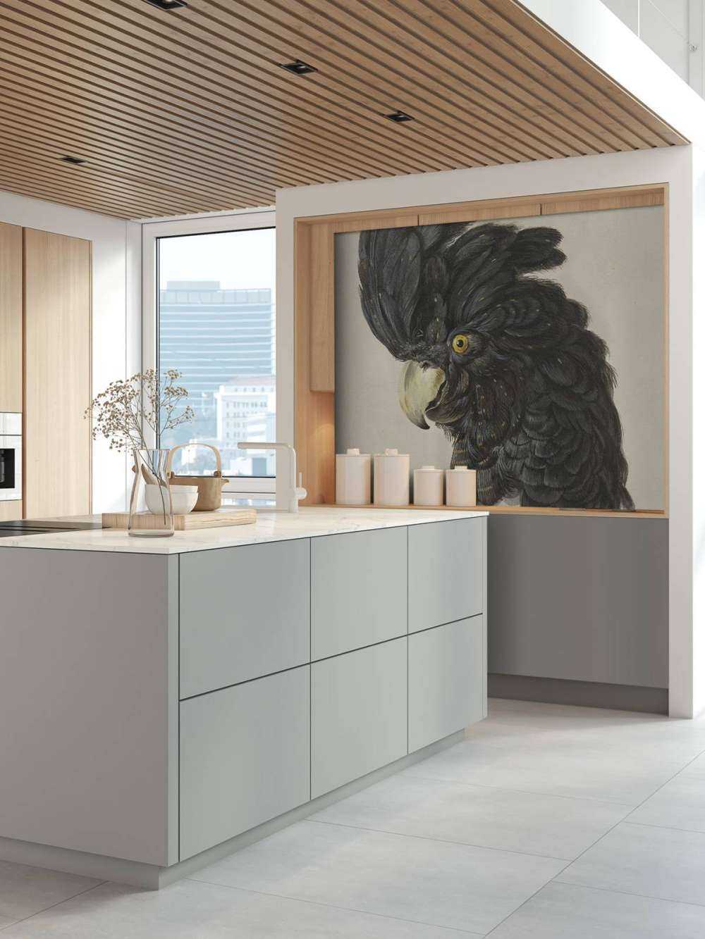 Black cockatoo portrait