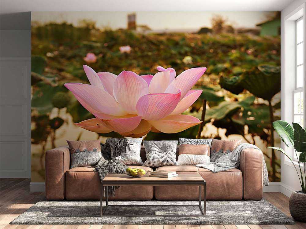 Roze lotusbloem