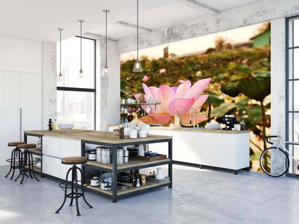 Roze lotusbloem