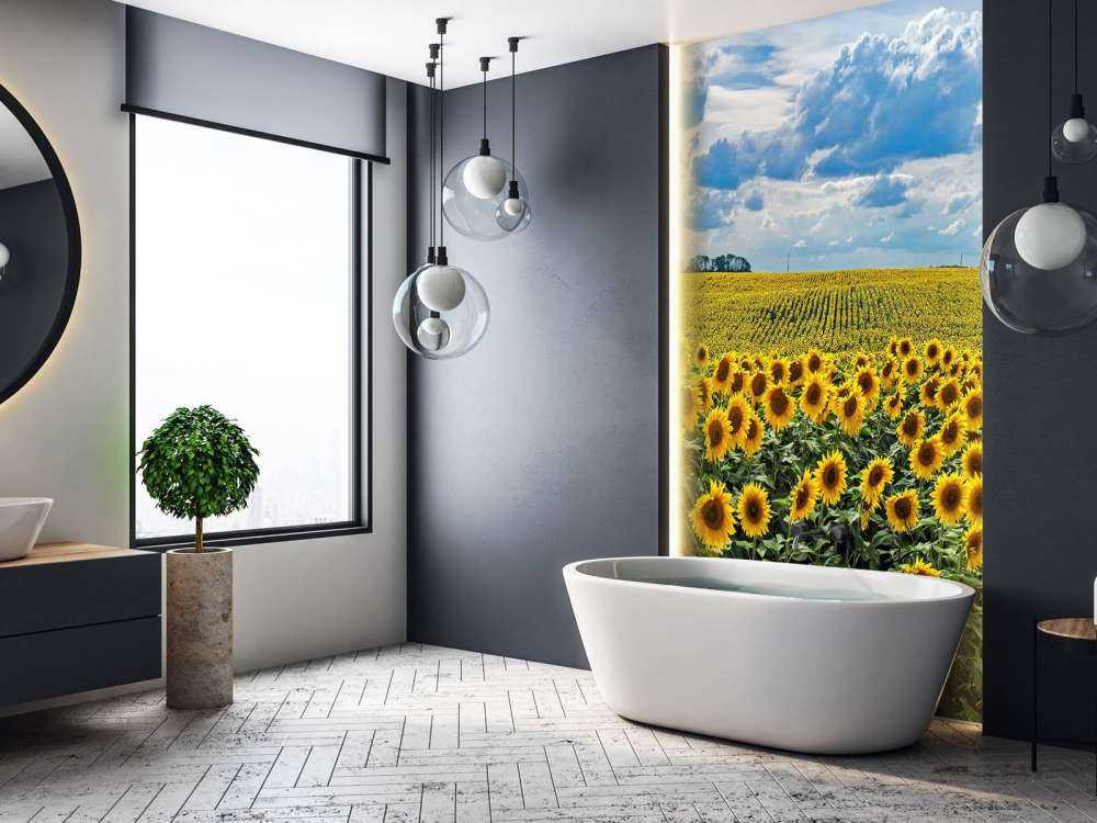 Weiland vol zonnebloemen