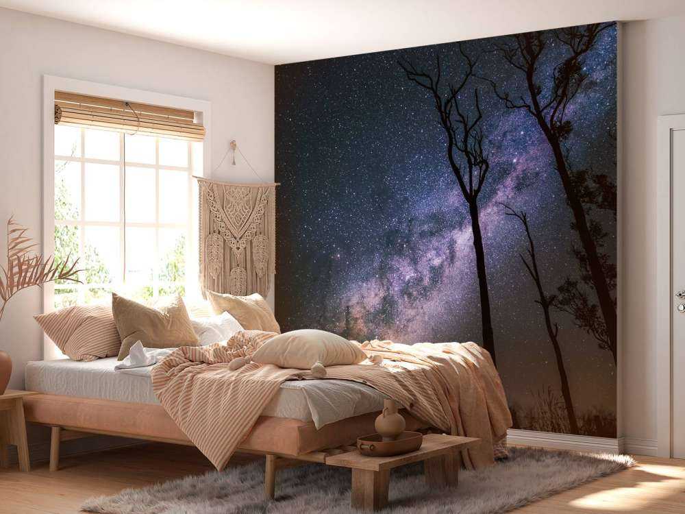 Sterren tussen de bomen