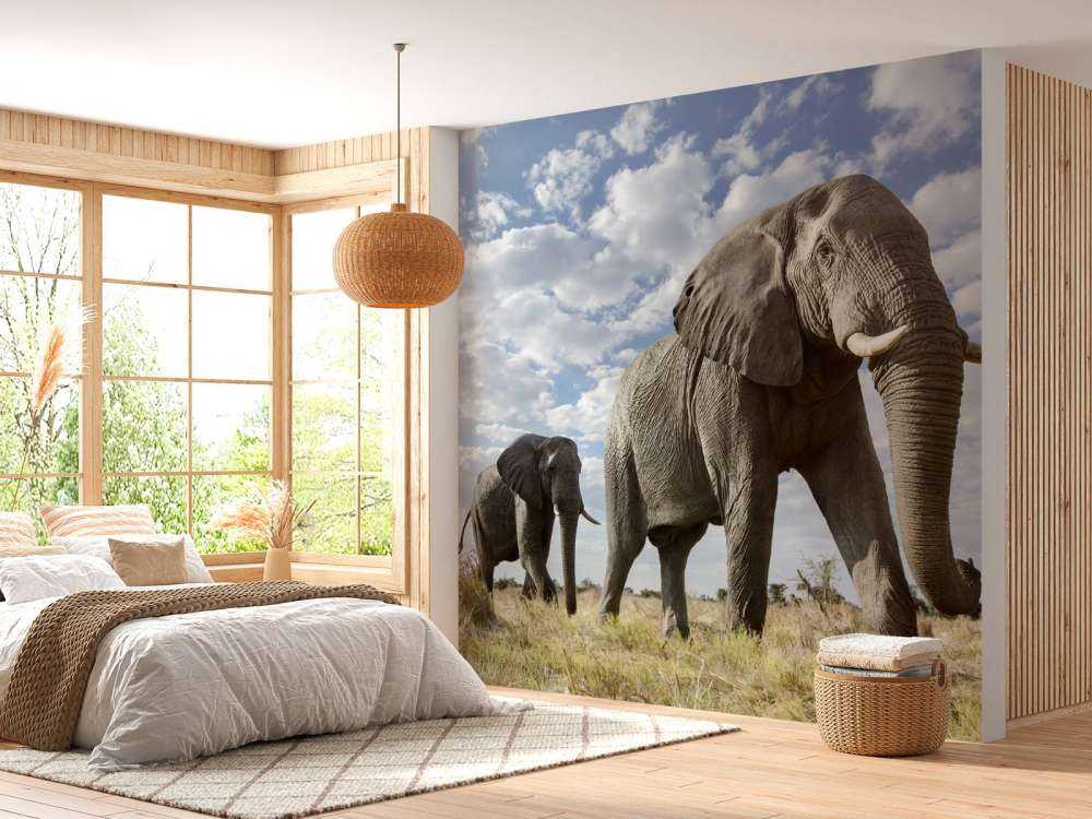 Passerende olifanten