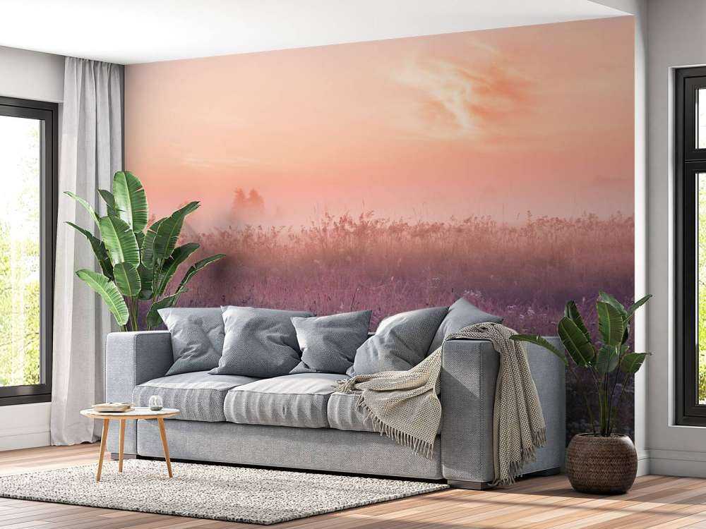 Veld met ochtendnevel