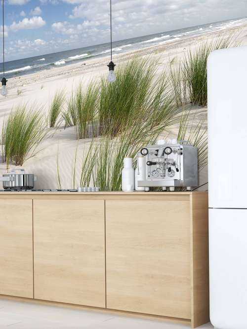 Strand met duinplanten