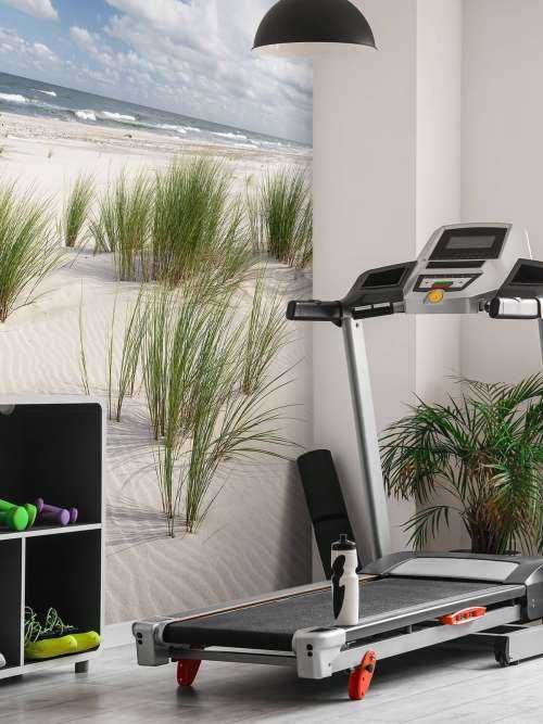 Strand met duinplanten