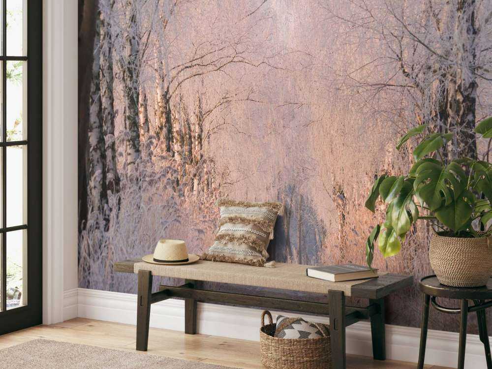 Bomenrij in de Wintermist