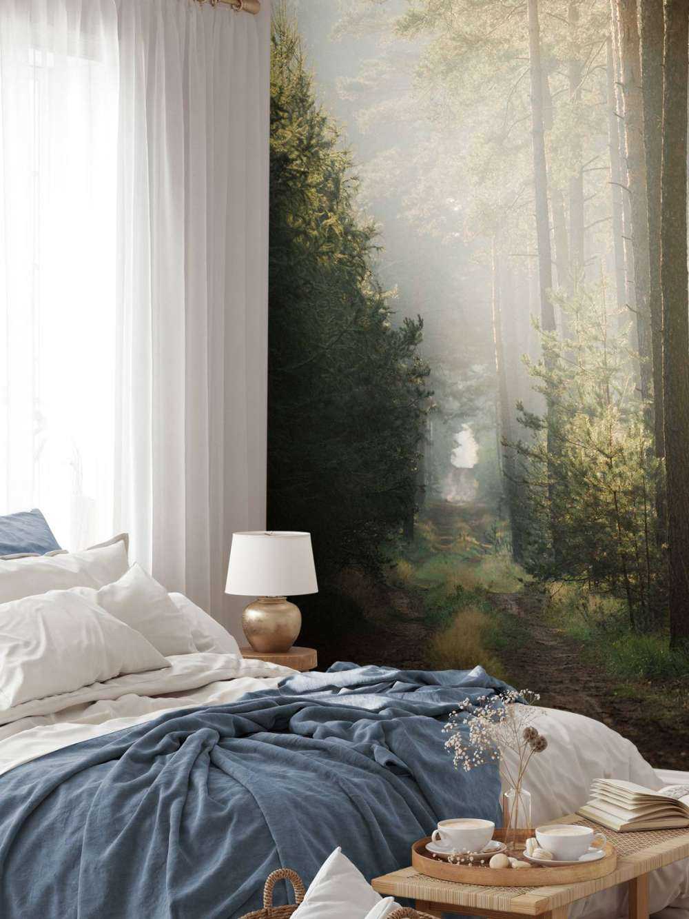 Lichtspel in het Dennenbos