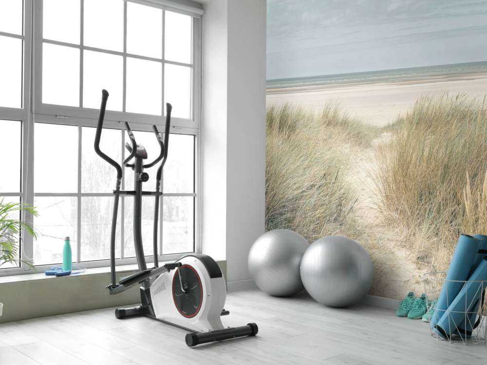 Grassy sand dunes on the sea coast under blue sky