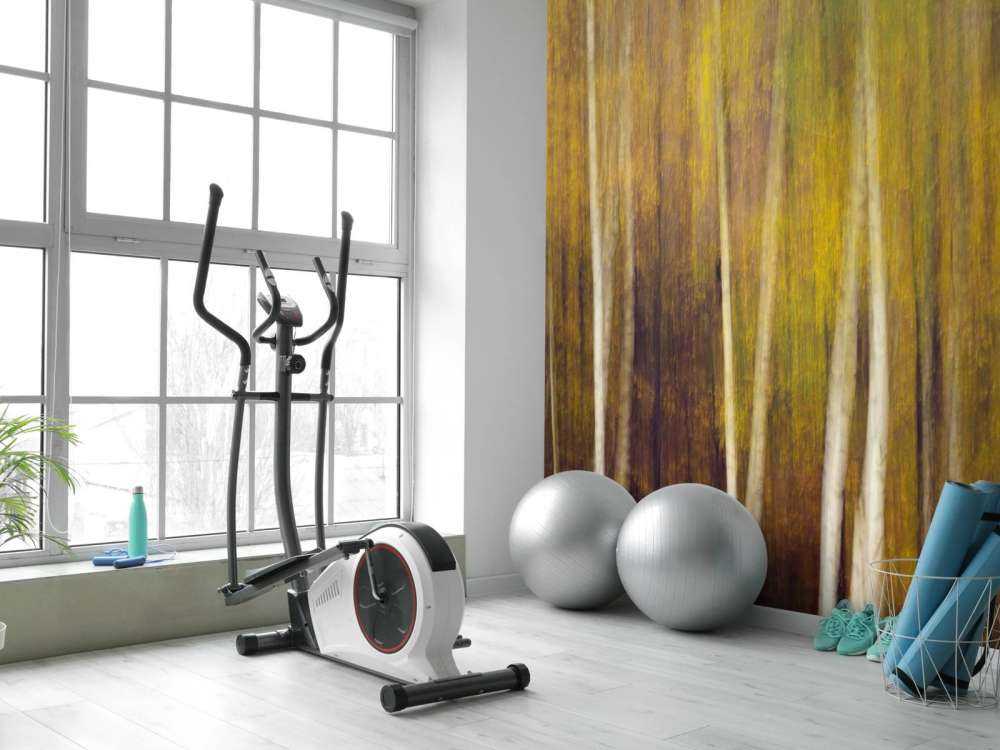 Herfstbos in Beweging