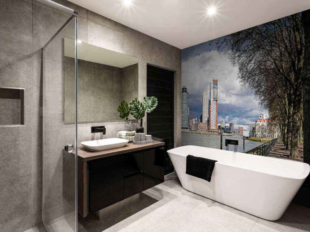 Rotterdamse Skyline vanaf de Kade